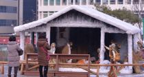 Merry Christmas Ʊ⿹ 