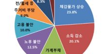  94%  Ȳҵ桤Һ ȭ 
