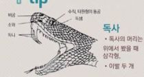 5~9 ߿Ȱ  졤 !