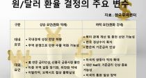 ſ뵵 , ȯ ȯ 